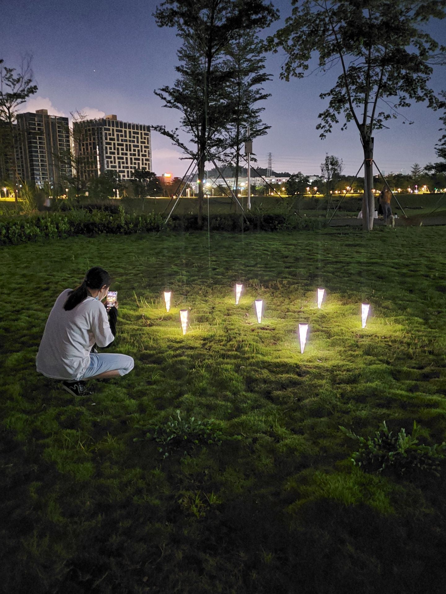 Garden Solar Wall Light