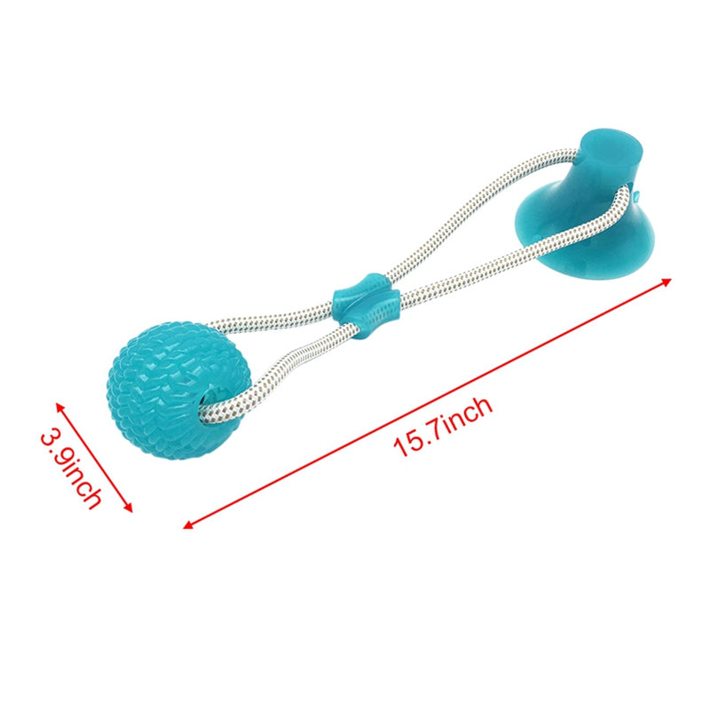 Interactive Fun Pet Toy