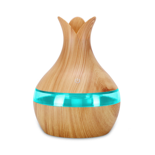 New Translucent USB Humidifier- Desktop