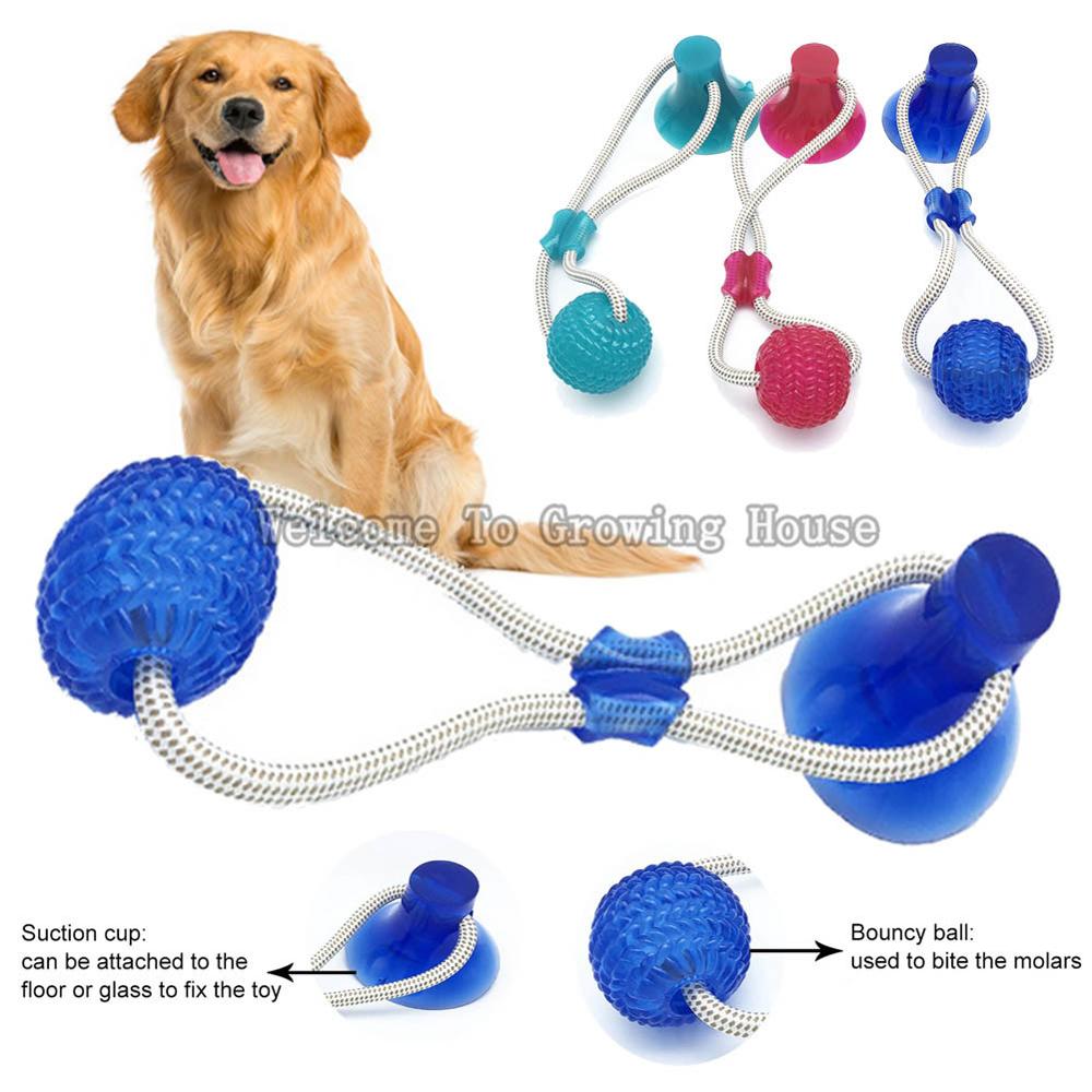 Interactive Fun Pet Toy