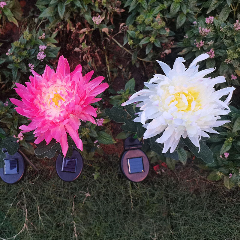 New Solar Chrysanthemum Lamps -Outdoors