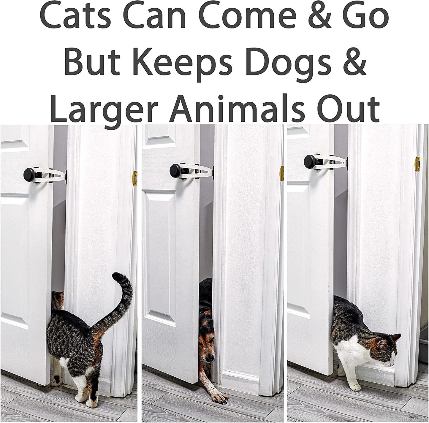 Pet Cat Door Holder Latch